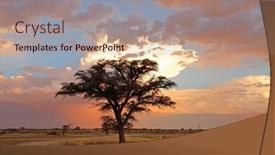  Presentation with south africa - Slides with sunset-with-silhouetted-african-thorn background and a coral colored foreground