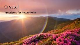  Presentation with rainbow - Amazing PPT layouts having sunset with sunbeams circular rainbow backdrop and a coral colored foreground