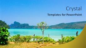  Presentation with paradise - Presentation theme enhanced with sunshine-coast-in-paradise-found background and a light blue colored foreground