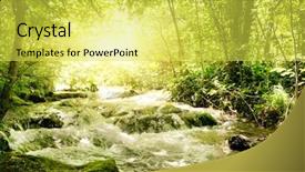  Presentation with sunshine - Presentation having sunshine in a forest background and a yellow colored foreground