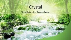  Presentation with sunshine - Presentation theme featuring sunshine in a forest background and a soft green colored foreground