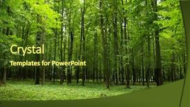  Presentation with mountains forests green forest - PPT theme with sunshine in the green forest background and a  colored foreground