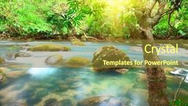  Presentation with blue water - Amazing theme having sunshine rain forest - blue water stream phong nha backdrop and a  colored foreground