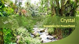  Presentation with river forest - Amazing presentation theme having sunshine rain forest - incredible river flows backdrop and a tawny brown colored foreground