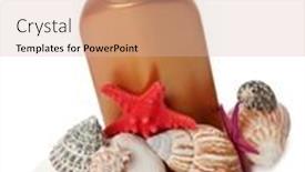  Presentation with sea shells - Audience pleasing presentation theme consisting of suntan-lotion-and-sea-shells backdrop and a soft green colored foreground
