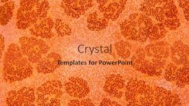  Presentation with starfish - Slide deck enhanced with super-macro-image background and a gold colored foreground