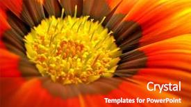  Presentation with super fighter jets - Cool new presentation theme with super macro orange gazania daisy backdrop and a crimson colored foreground