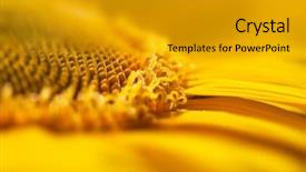  Presentation with iris flower yellow - Presentation design consisting of heart threads and a needle background and a seafoam green colored foreground.