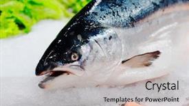  Presentation with king - Presentation featuring supermarket close-up of head background and a light gray colored foreground