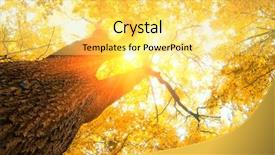  Presentation with autumn leaves falling - PPT theme featuring supernatural - fallen leaves in autumn forest background and a yellow colored foreground