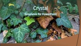  Presentation with old young - Slides enhanced with superseed - young and old ivy background and a ocean colored foreground