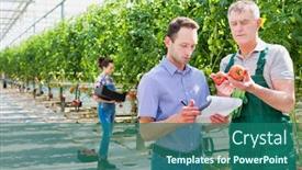  Presentation with monthly report - Beautiful slide set featuring supervisor making report while farmer showing tomatoes in greenhouse backdrop and a ocean colored foreground