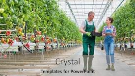  Presentation with greenhouse - Cool new slide deck with supervisor-pointing-at-plant backdrop and a light gray colored foreground