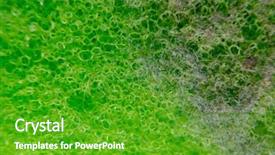  Presentation with dust occupational lung - Audience pleasing slide deck consisting of surface of plastic green sponge backdrop and a shamrock green colored foreground