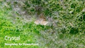  Presentation with dust - Beautiful PPT theme featuring surface of plastic green sponge backdrop and a seafoam green colored foreground