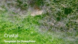  Presentation with dust - Slides having surface of plastic green sponge background and a tawny brown colored foreground