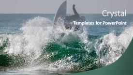  Presentation with surfing - PPT theme featuring surfing-riding-the-wave background and a gray colored foreground