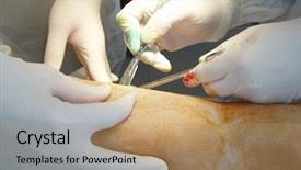  Presentation with operating room - Amazing theme having surgical procedure in an operating backdrop and a coral colored foreground