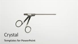  Presentation with isolated paw prints over white - PPT layouts enhanced with surgical scissor isolated over white background and a light gray colored foreground