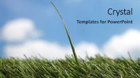  Presentation with blade - Presentation design with surpass - green grass with only one background and a light blue colored foreground