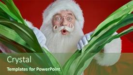  Presentation with tropical christmas - 