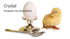  Presentation with chick - Audience pleasing presentation theme consisting of surprised towards a boiled egg backdrop and a  colored foreground