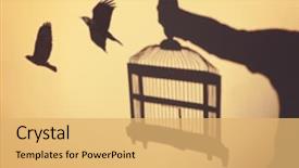  Presentation with birds flying - Theme with surreal concept being set free background and a yellow colored foreground