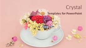  Presentation with nature design - Slides consisting of surreal-summer-flower-and-wildflower background and a  colored foreground