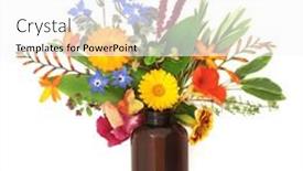  Presentation with brown floral - PPT theme having surreal-summer-flower-wildflowers background and a white colored foreground