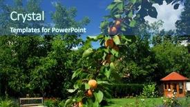  Presentation with branch - Presentation enhanced with garden with branch full of apricots in the middle bench in the right and small gazebo in the right - all surrounded by trees and flowers background and a ocean colored foreground