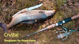  Presentation with fishing - Presentation design having survival in hikes grayling wild background and a  colored foreground