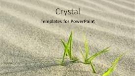  Presentation with survival - Beautiful presentation theme featuring survival backdrop and a soft green colored foreground