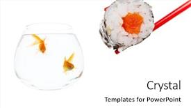  Presentation with goldfish - Amazing slide deck having sushi with shocked looking goldfish backdrop and a white colored foreground