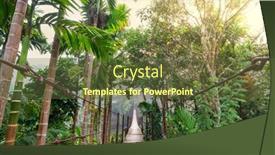  Presentation with suspension bridge - Slides featuring suspension-bridge-in-jungle-sri background and a tawny brown colored foreground