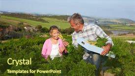  Presentation with sustainable agriculture - Presentation design with sustainable agriculture - farmer with daughter harvesting organic background and a tawny brown colored foreground
