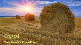  Presentation with roll - Slide set consisting of sustainable agriculture - hay-roll on meadow against sunset background and a  colored foreground