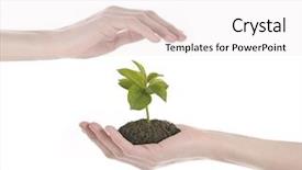  Presentation with sustainable agriculture - Colorful slide deck enhanced with sustainable agriculture - save plant backdrop and a white colored foreground