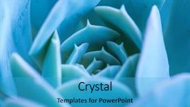  Presentation with succulent - Amazing PPT theme having sustainable building - miniature succulent plants backdrop and a teal colored foreground