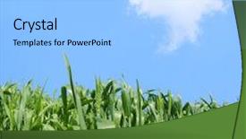  Presentation with clear - Presentation design consisting of sustainable growth - clear spring day background and a light blue colored foreground