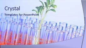  Presentation with seedling - Amazing slides having sustainable growth - experiment with green seedling backdrop and a sky blue colored foreground