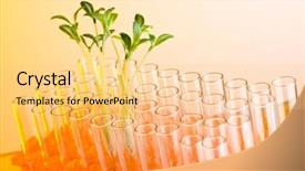 Presentation with lab - Cool new presentation theme with sustainable growth - experiment with green seedlings backdrop and a blonde colored foreground