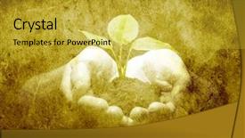  Presentation with holding hands - Beautiful presentation theme featuring sustainable growth - hands holding sapling in soil backdrop and a  colored foreground