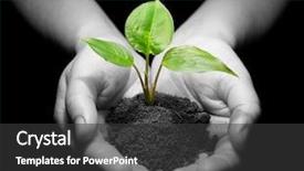  Presentation with hands planting a cabbage seedling - Cool new presentation theme with sustainable growth - plant in hands backdrop and a  colored foreground