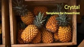  Presentation with plastic packaging - Theme enhanced with sustainable plastic packaging free background and a tawny brown colored foreground