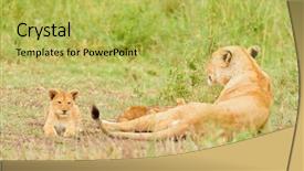  Presentation with scientific - PPT layouts enhanced with tarangire lake manyara ngorogoro national background and a yellow colored foreground