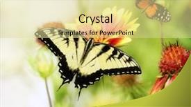  Presentation with butterflies - Slides enhanced with dacians - trajan s column is background and a ocean colored foreground.