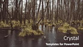  Presentation with swamp - Presentation theme with swamp-and-river background and a dark gray colored foreground