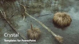  Presentation with swamp - Presentation design featuring swamp-and-river background and a gray colored foreground