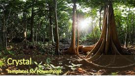  Presentation with mangrove - Slide deck with swamp forest tha pom canal background and a tawny brown colored foreground