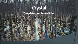  Presentation with swamp - Beautiful slide deck featuring swamp in autumn season wilderness backdrop and a dark gray colored foreground